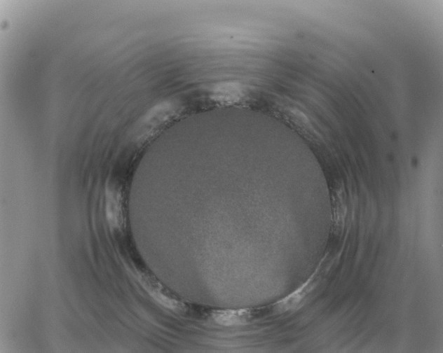 X0000064770136200602171834