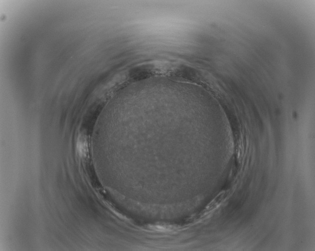 X0000064770137200602171834