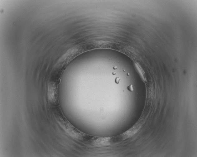 X0000064770138200602171834