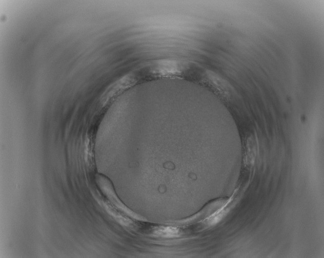 X0000064770140200602171834