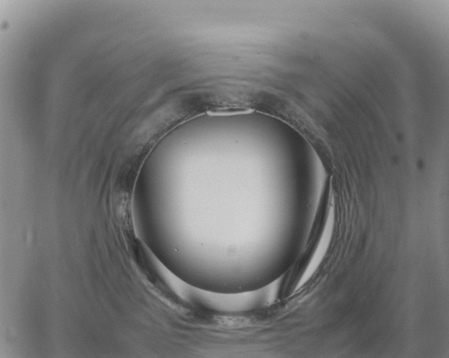 X0000064770141200602171834