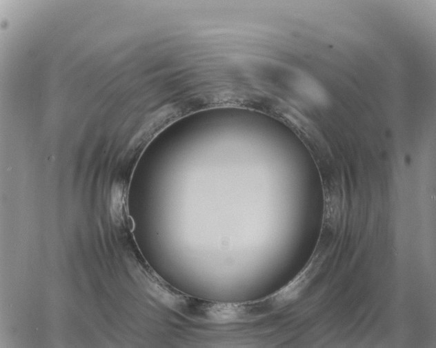 X0000064770142200602171834