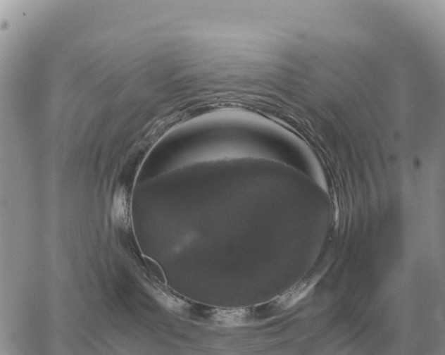 X0000064770143200602171834