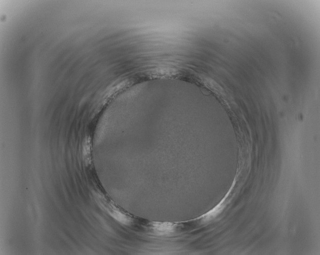 X0000064770144200602171834