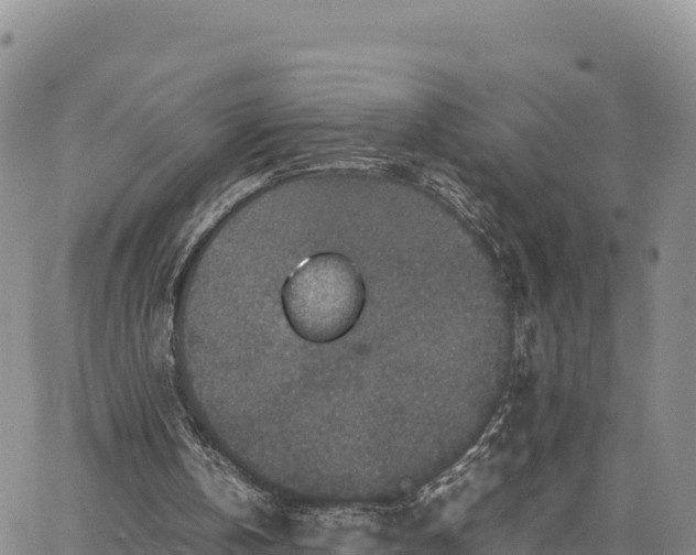 X0000064770146200602171833