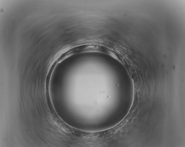 X0000064770148200602171833