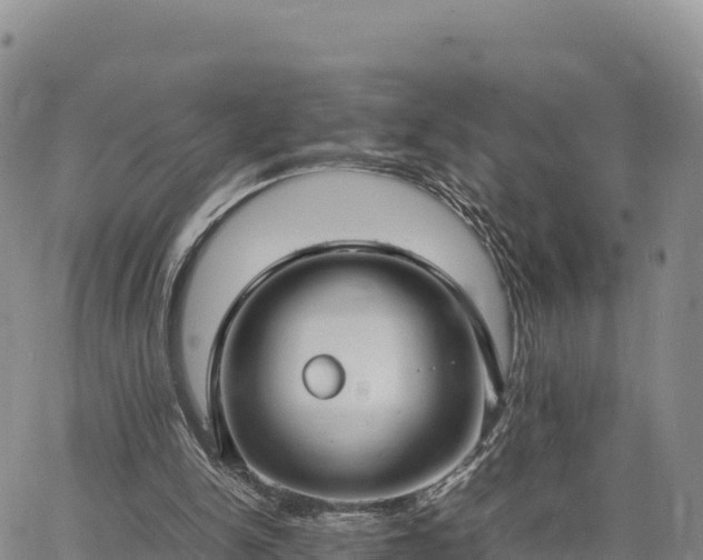 X0000064770150200602171833