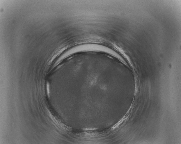 X0000064770154200602171833