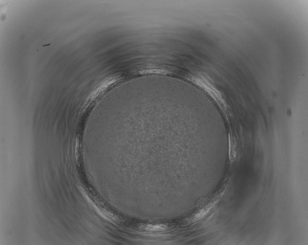 X0000064770157200602171833