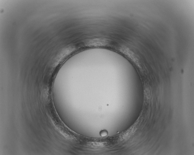 X0000064770159200602171833