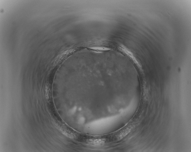 X0000064770161200602171833