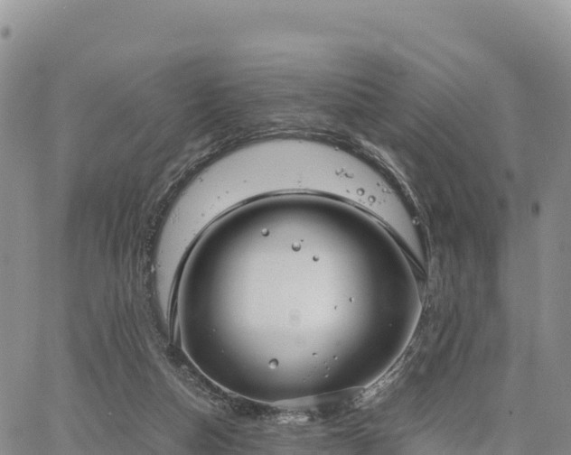 X0000064770162200602171833