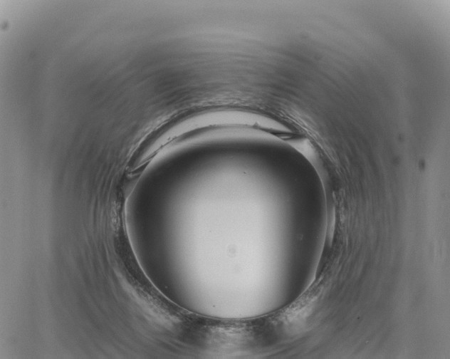 X0000064770164200602171833