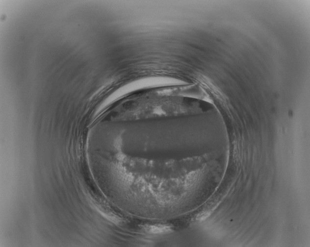 X0000064770165200602171833