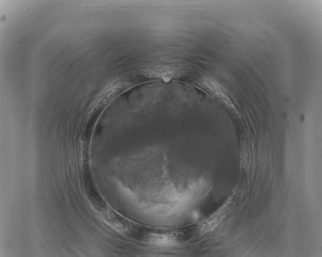 X0000064770167200602171834