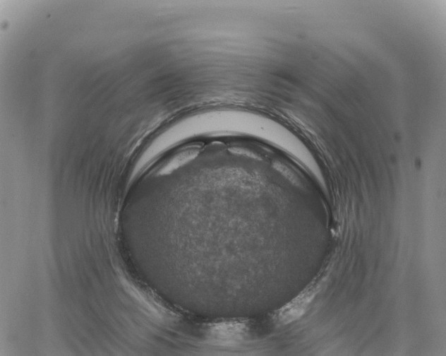 X0000064770168200602171834