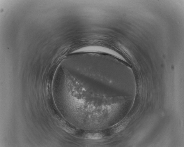 X0000064770169200602171834