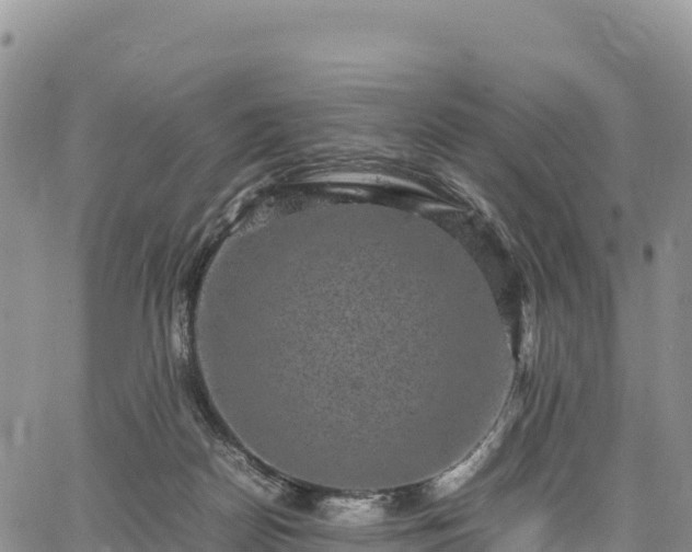 X0000064770170200602171834