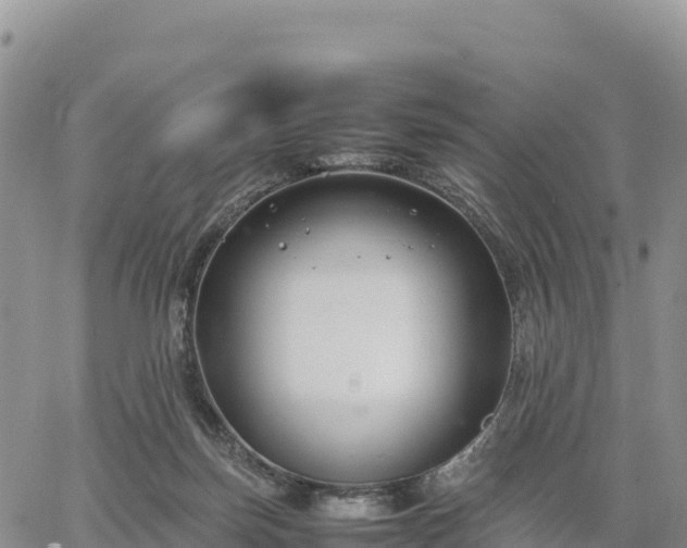 X0000064770171200602171834