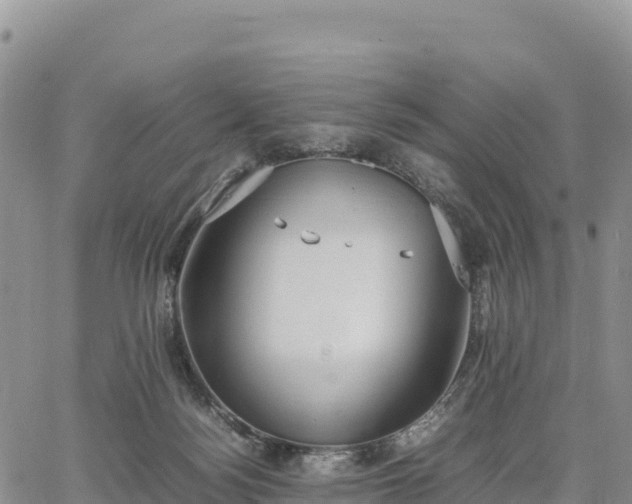 X0000064770172200602171834