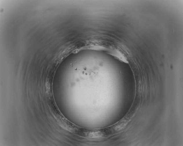 X0000064770173200602171834