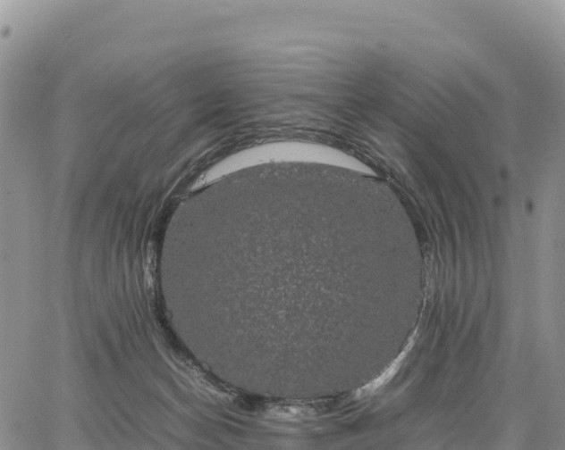 X0000064770174200602171834