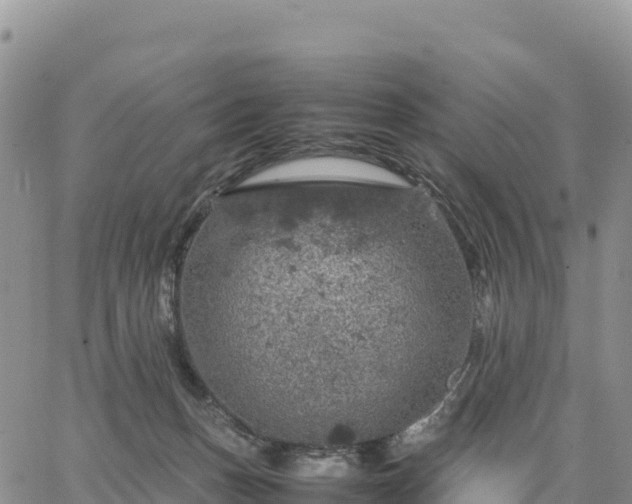 X0000064770175200602171834