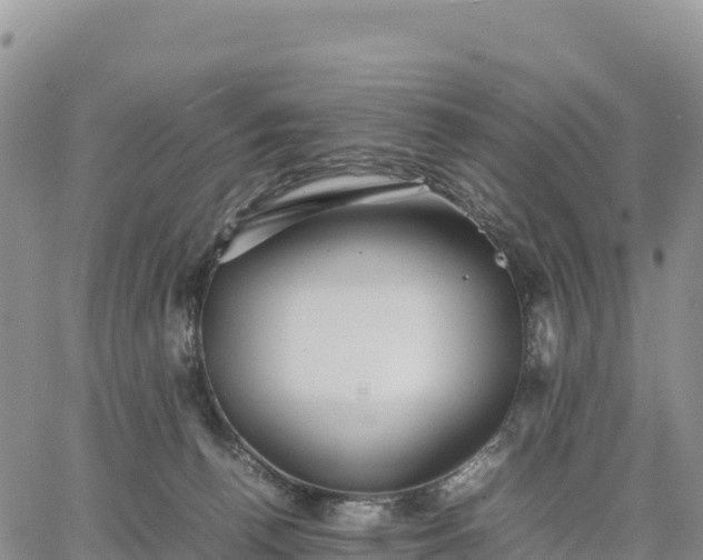 X0000064770176200602171834