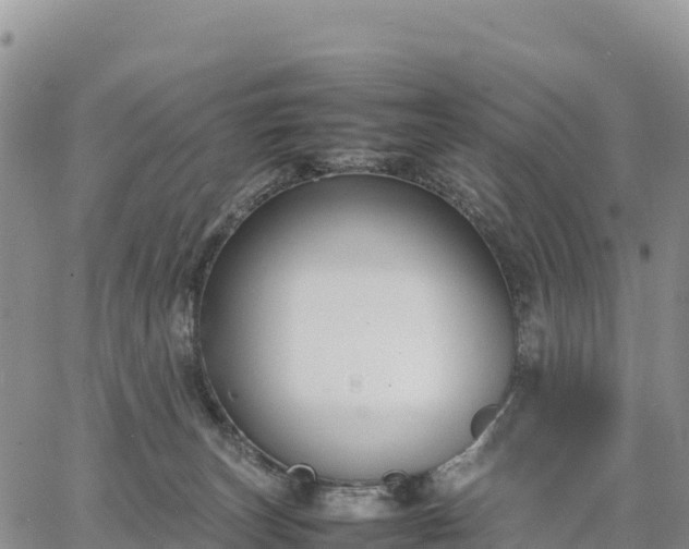 X0000064770179200602171834