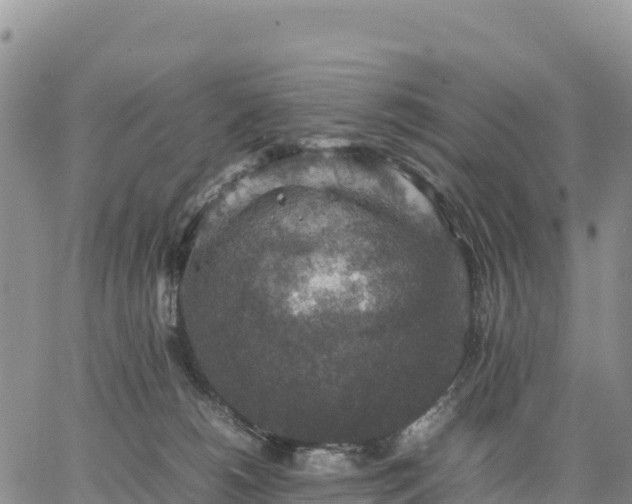 X0000064770180200602171834