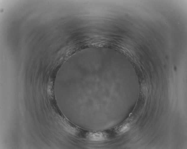 X0000064770181200602171834