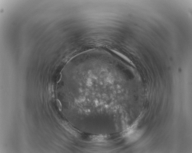 X0000064770182200602171834