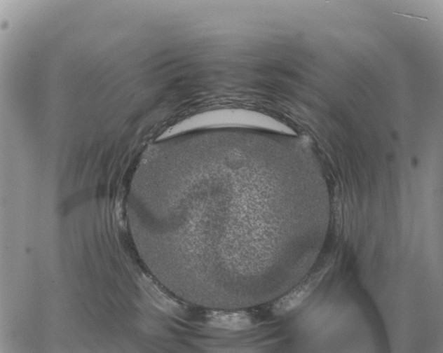 X0000064770185200602171834