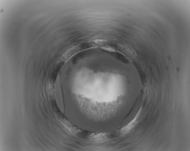 X0000064770186200602171834