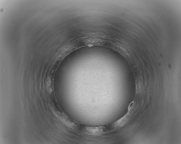 X0000064770187200602171834