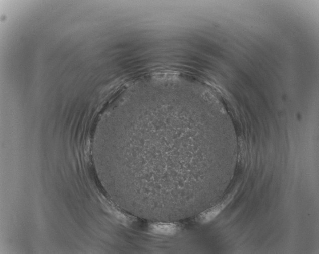 X0000064770189200602171834