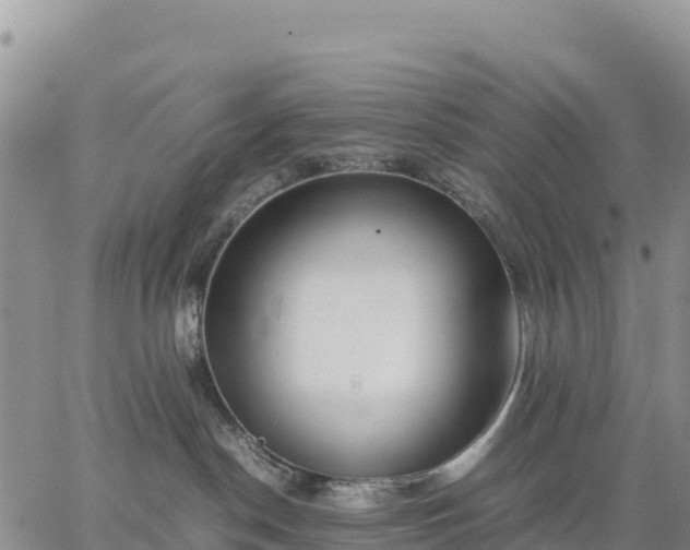 X0000064770190200602171834