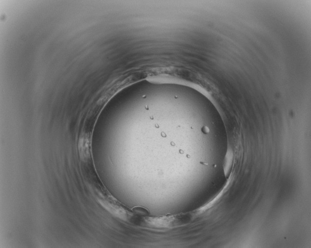 X0000064770191200602171834