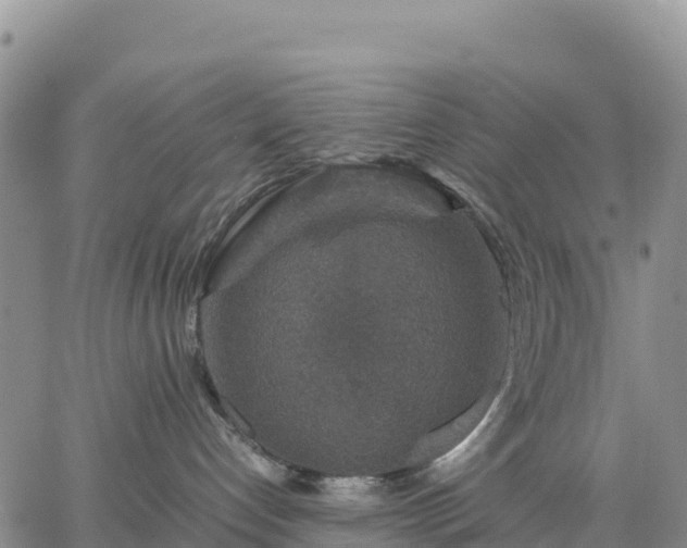 X0000064770192200602171834