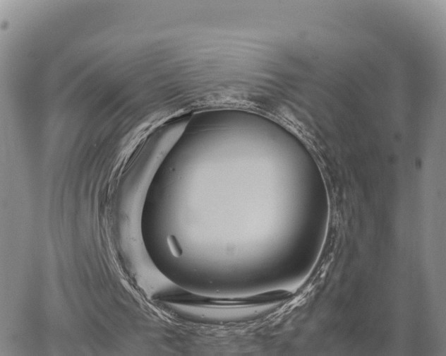 X0000064770193200602171833