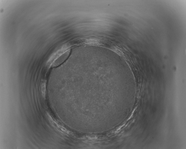 X0000064770194200602171833