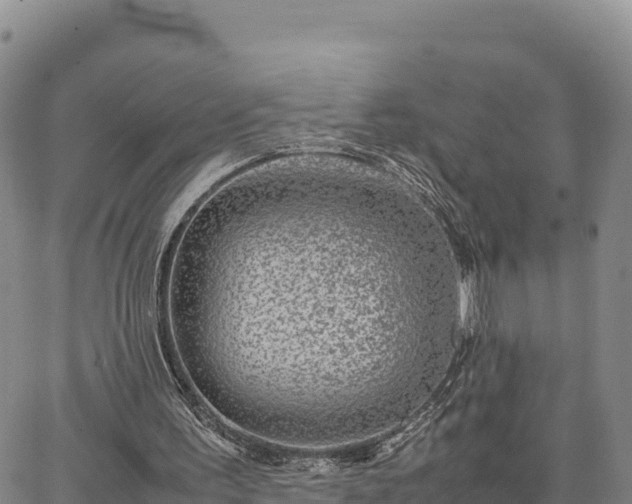 X0000064770195200602171833