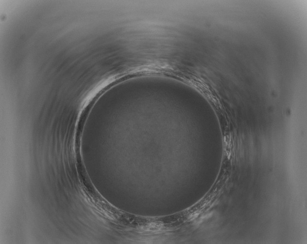 X0000064770196200602171833