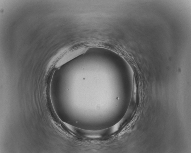 X0000064770197200602171833