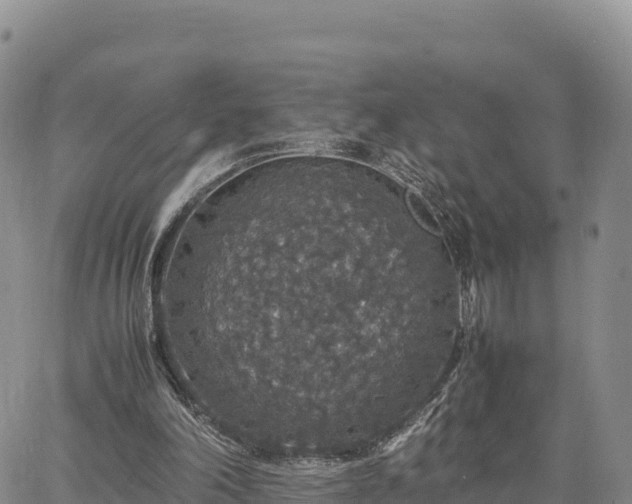 X0000064770198200602171833