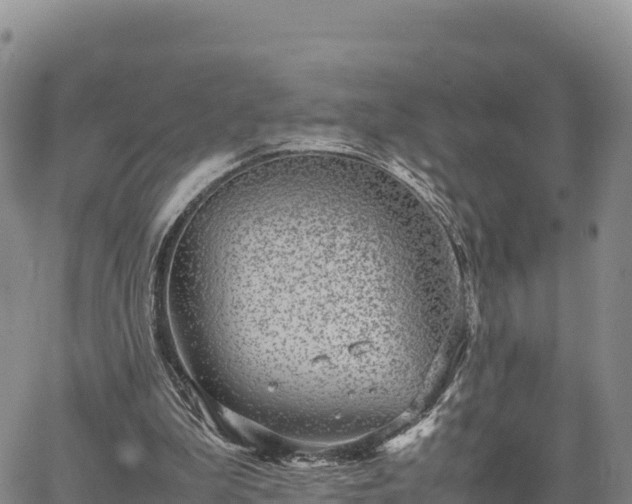 X0000064770199200602171833