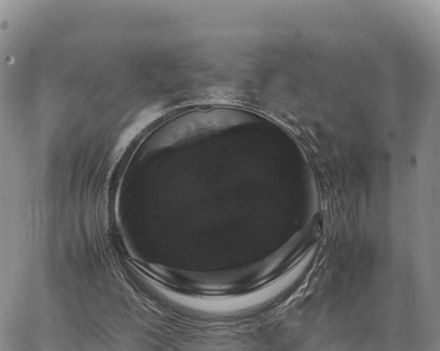 X0000064770200200602171833