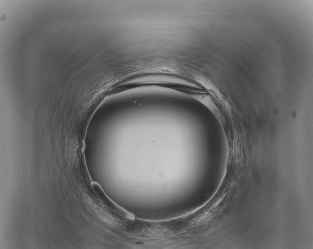 X0000064770201200602171833