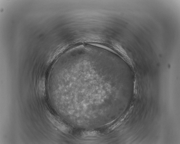 X0000064770202200602171833