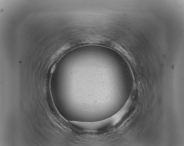 X0000064770203200602171833